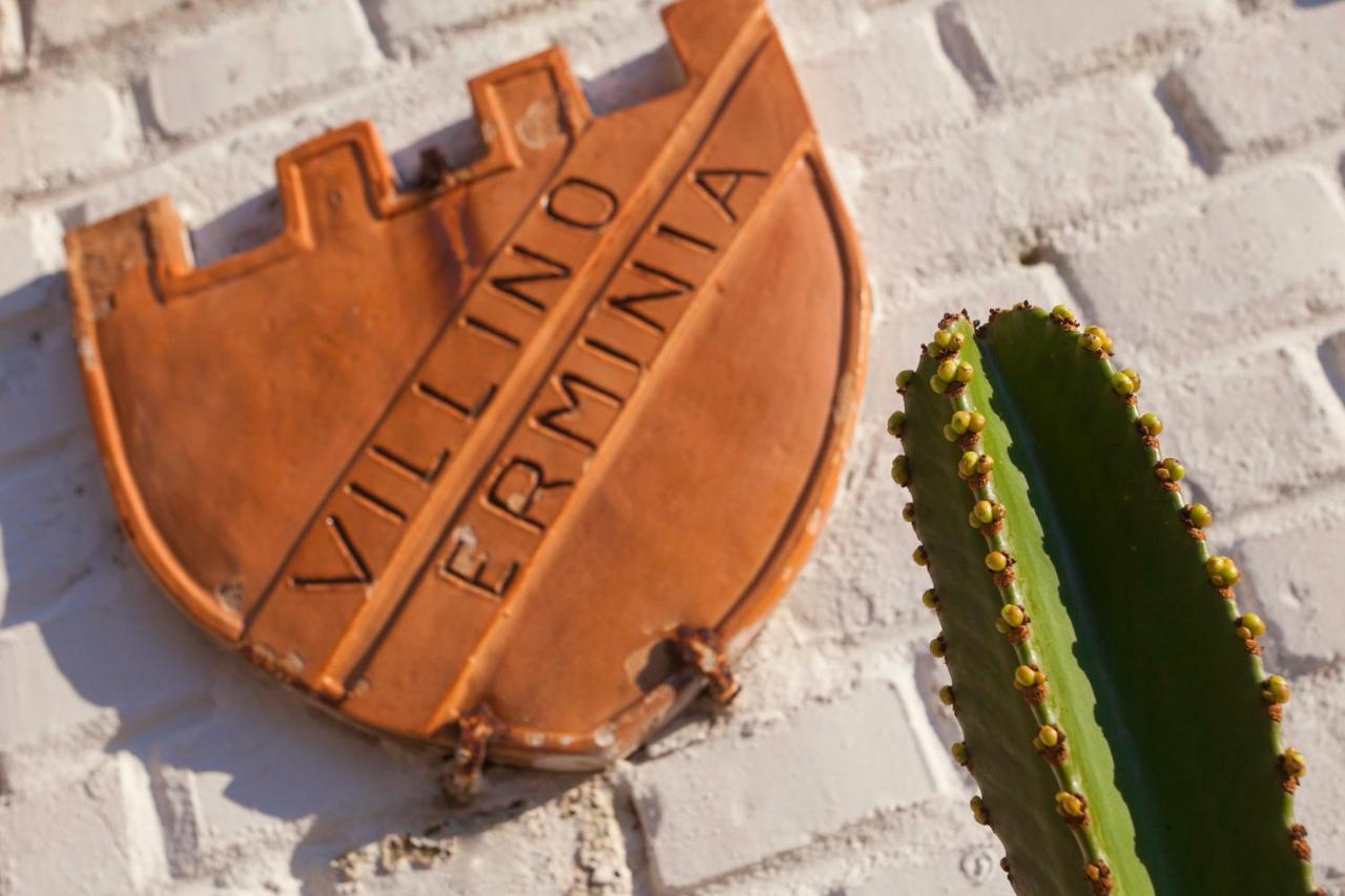 Villino Erminia - Seaside Art B&B Pizzo  Eksteriør billede